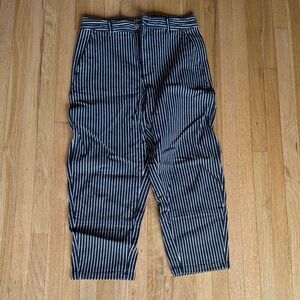 Everlane Striped Black and White barrel Pants